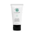 Body Eclipse Spa Amenities Shampoo, Citrus Nectar, 1.3oz Tube, 100 Tube/Case