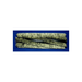 Broom, 42" 8 D.R. Proex & Wire