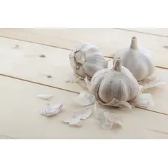 GARLIC WHOLE JUMBO OG | 5 LBS