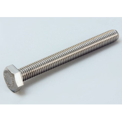 Hex Screw