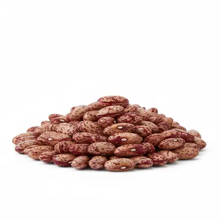 BEANS CRANBERRY OG | 25 LBS