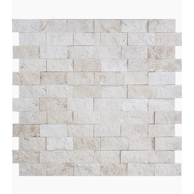 1X2 Shell Stone