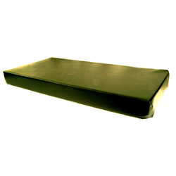 Cushion