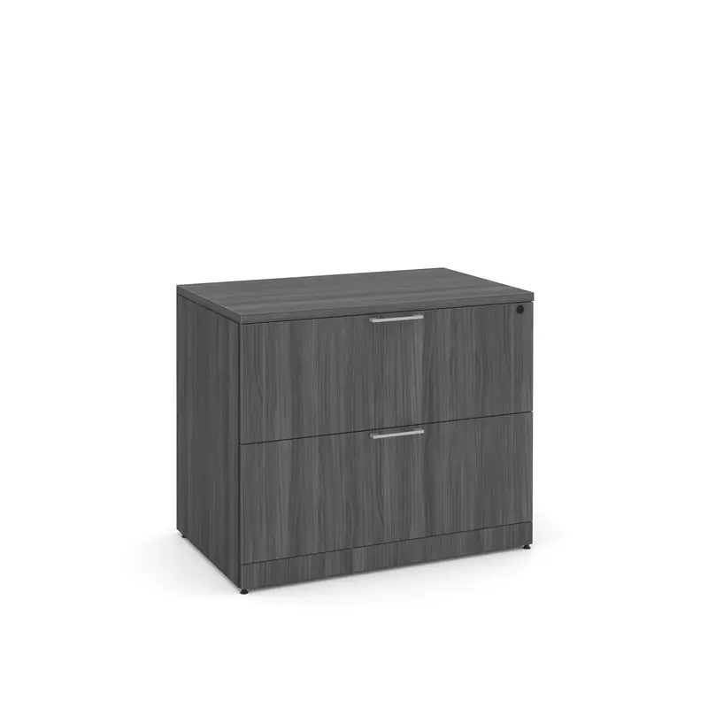 2 DRAWER LATERAL FILE COASTAL GRAY