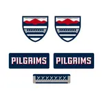 Custom Hockey Helmet Decal Sets