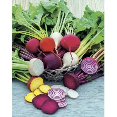 Beet - Rainbow Mix (Seed)