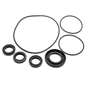 Veloci Replacement Pump Kit for AR Kit 42170 