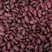 BEANS KIDNEY DARK RED OG | 25 LBS