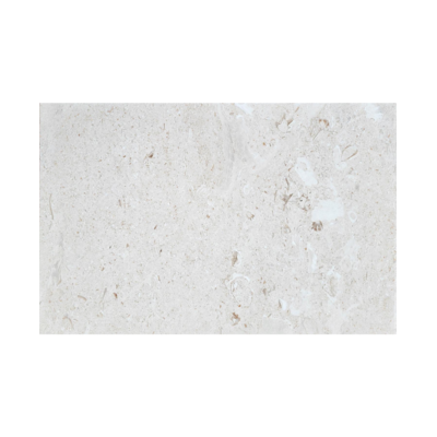 Shell Stone
