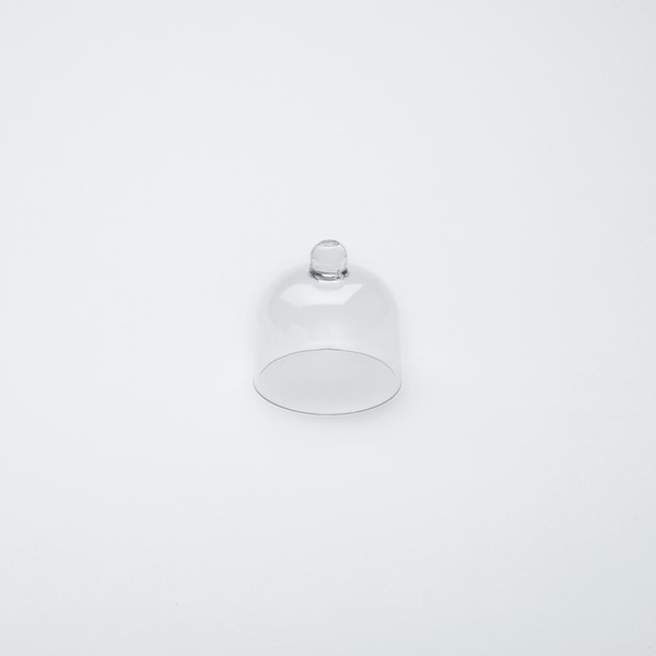 Clear Polycarbonate Domes