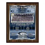 Vividcolor AIO Team Picture Plaques with Digital Metallic Border