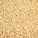 AMARANTH OG | 25 LBS