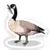 CANADA STAB GOOSE - STICKER