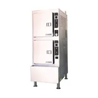Cleveland 24CGA10.2NEZTQS NG Steamcraft Gemini 10 Convection Steamer