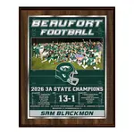 Vividcolor AIO Team Picture Plaques with Digital Metallic Border