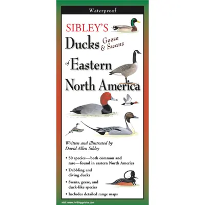 Sibley's Ducks, Geese & Swans Of Eastern North America