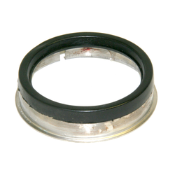 Seal, Ring