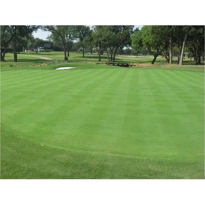 Universal Bentgrass 1kg