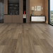 Appalachian Reserve Chestnut Legacy