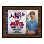 Deluxe Vividcolor AIO Award Plaques