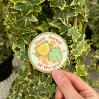 Cute Plant Studio Stickers