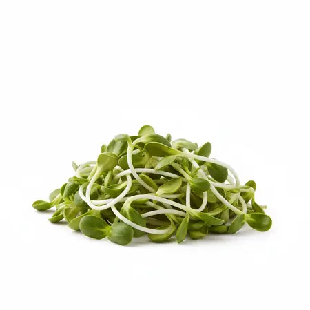SPROUTS SUNFLOWER LOCAL OG | 2/1 LB
