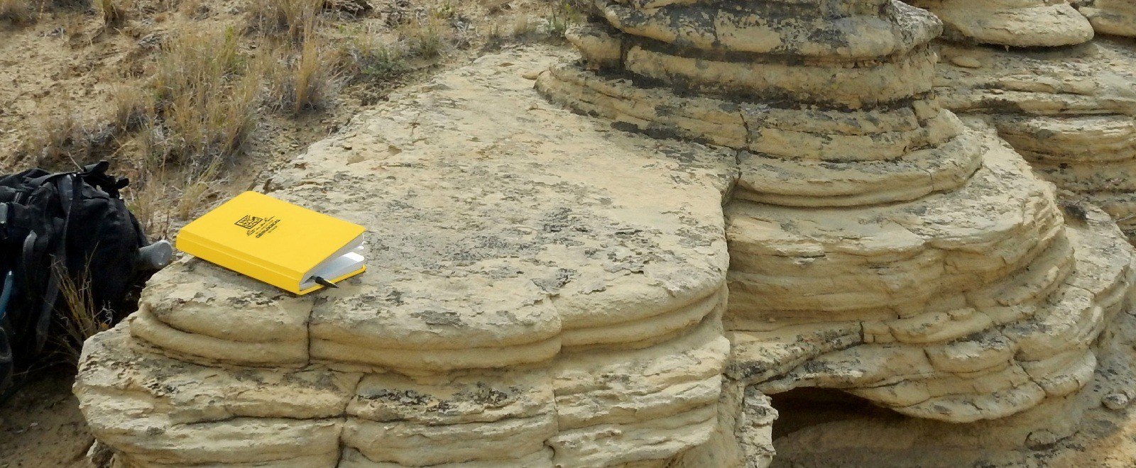 Geological weatherproof book sitting on a rock formation.