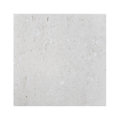 24X24 Shell Stone