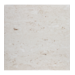 24X24 Shell Stone