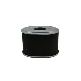 FILTER, PRO436 5.5HP GX160.