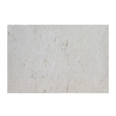 Shellstone Syria Stone-Mart - Shell Stone