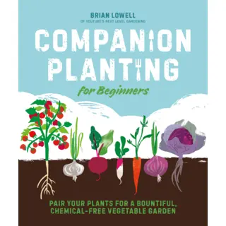 Companion Planting For Beginners
