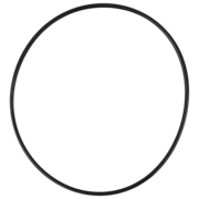 O-Ring (OR-PP-198)