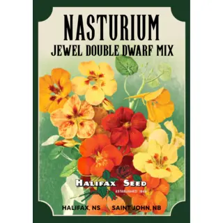 Heritage Packet: Nasturtium - Jewel Double Dwarf Mix (Seed)