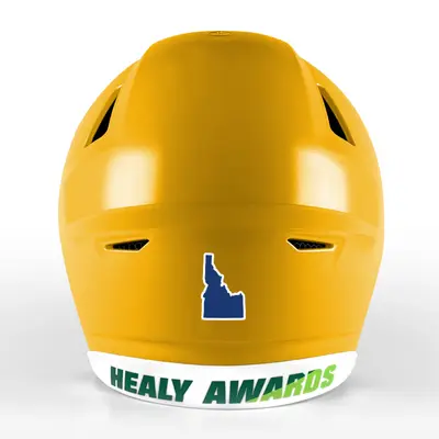 2 Color State Shape Decals