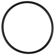 O-Ring (OR-PP-4424)