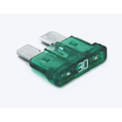 Fuse, 30 Amp