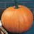 PUMPKIN CONNECTICUT FIELD 125G
