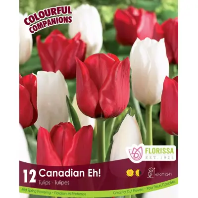Tulip Mix - 'Canadian Eh!' 12/pkg