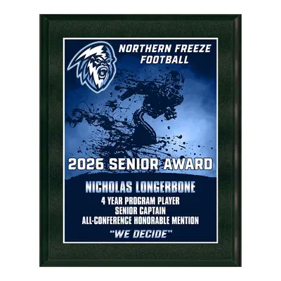 Standard Vividcolor AIO Award Plaques