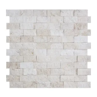 Shellstone Syria Stone-Mart - Shell Stone