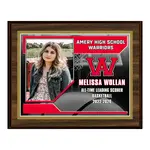 Deluxe Vividcolor AIO Award Plaques with Metal Border