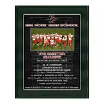 Deluxe Vividcolor AIO Award Plaques