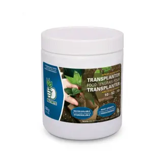 Nutrite Transplanter Food