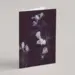 Plant Greeting Cards