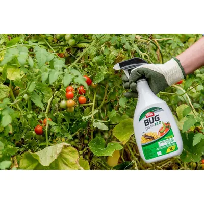 Ortho Bug B Gon ECO Insecticidal Soap