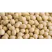 BEANS SOY CLEAR HYLUM USA OG | 25 LBS