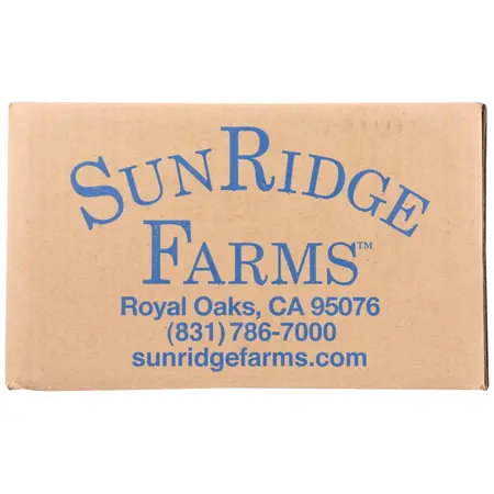 CASHEWS THAI CURRY | 15 LBS