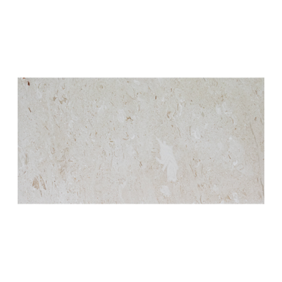 Shell Stone
