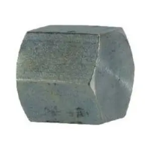 Hex Pipe Cap, 1/4 in FNPT, Stainless Steel